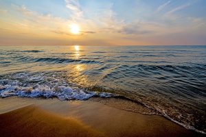 Lake Michigan Reed Photo