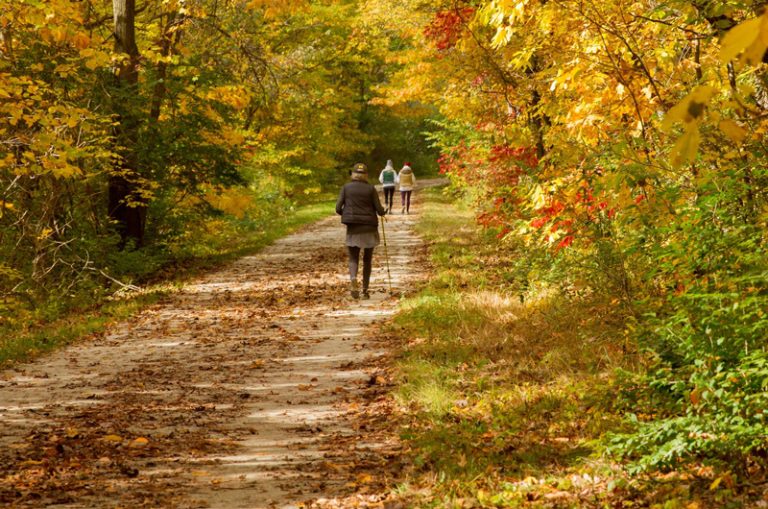 The Kal-Haven Trail is a 33.5 mile linear multiple-use trail that links Kalamazoo to South Haven.