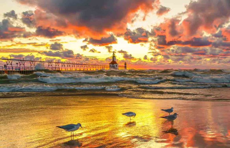 Tiscornia Park St. Joseph Lighthouse Molly Schuler Pate